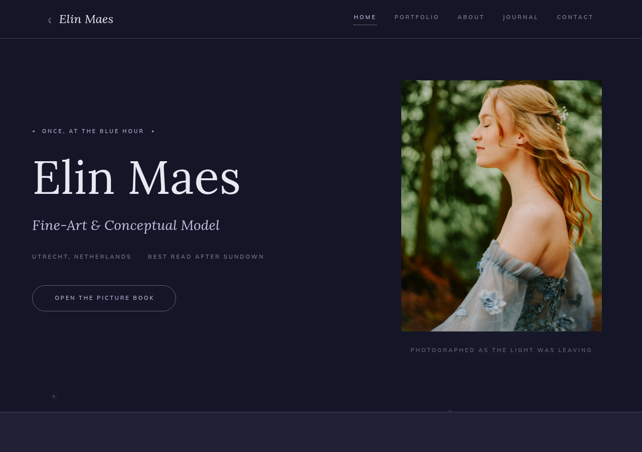 Preview of the Reverie template
